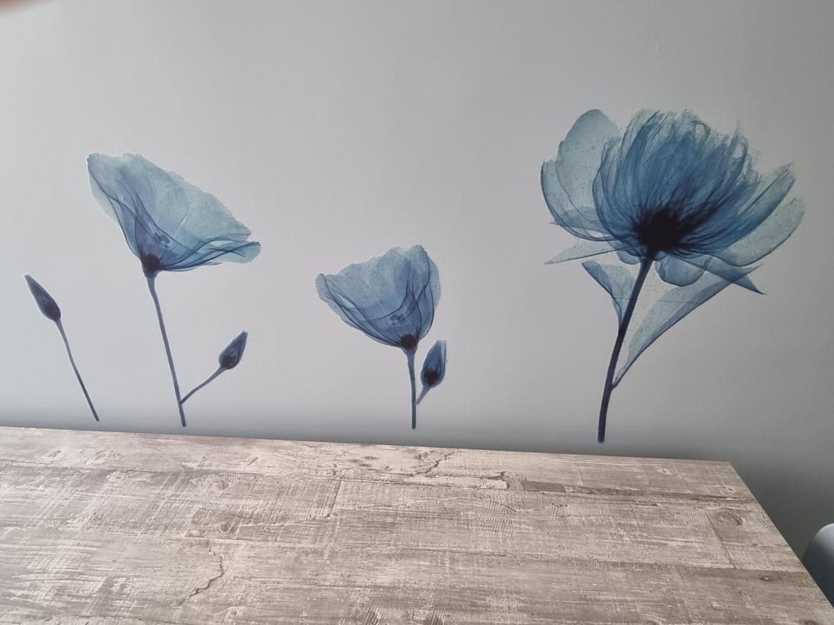 Blue House Apartment - San Massimo Βερόνα Εξωτερικό φωτογραφία